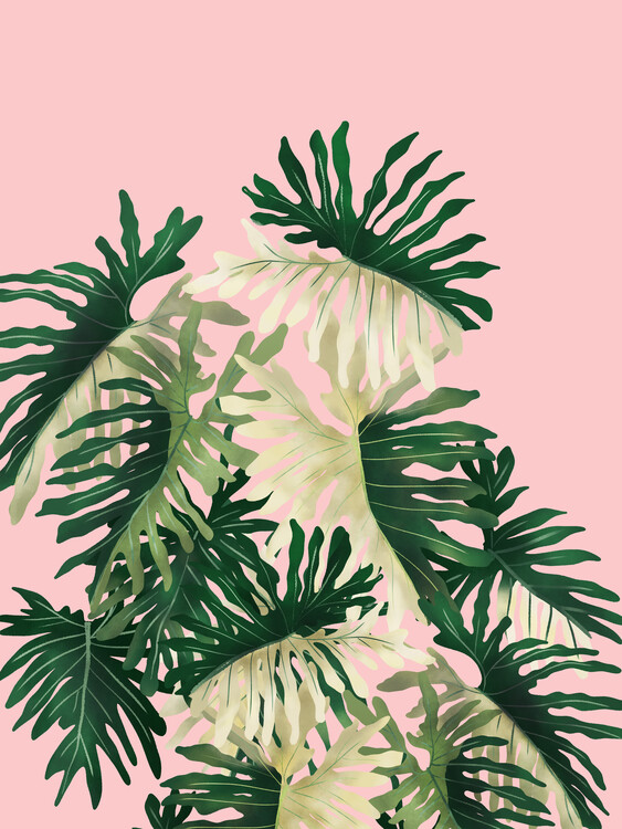 Poster Philodendron On Pink