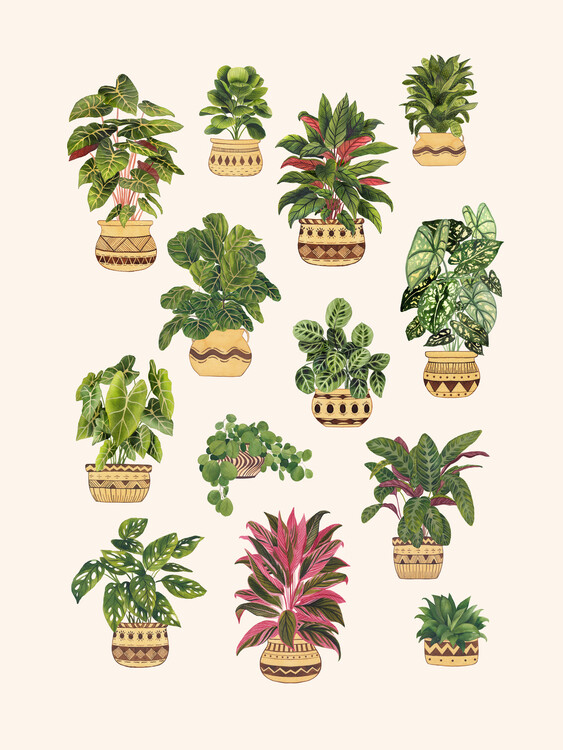 Poster House Plant Collection 4