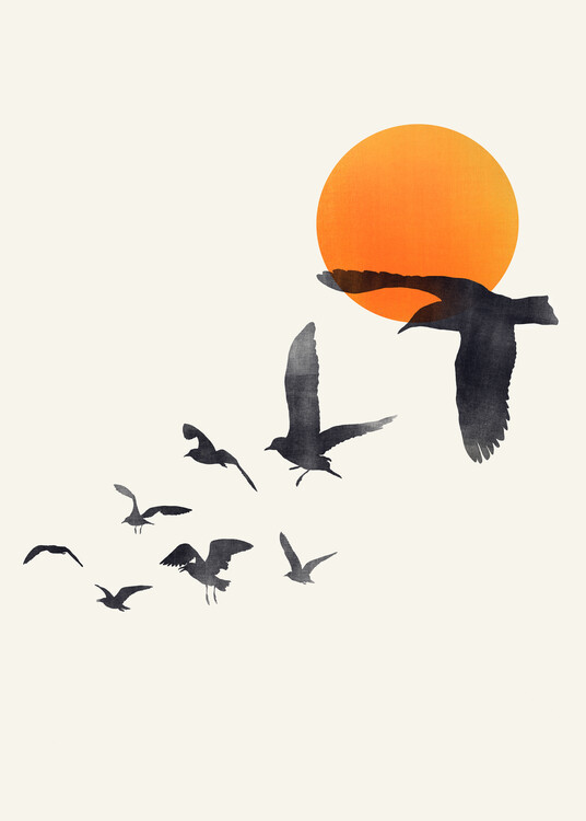 Plakat In the sky