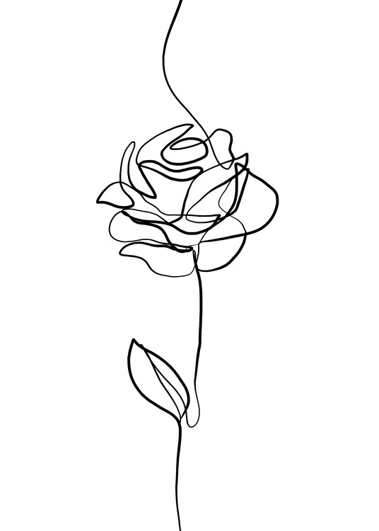 Poster Rose Line Drawing