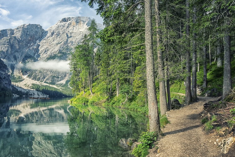Poster Morning In Braies
