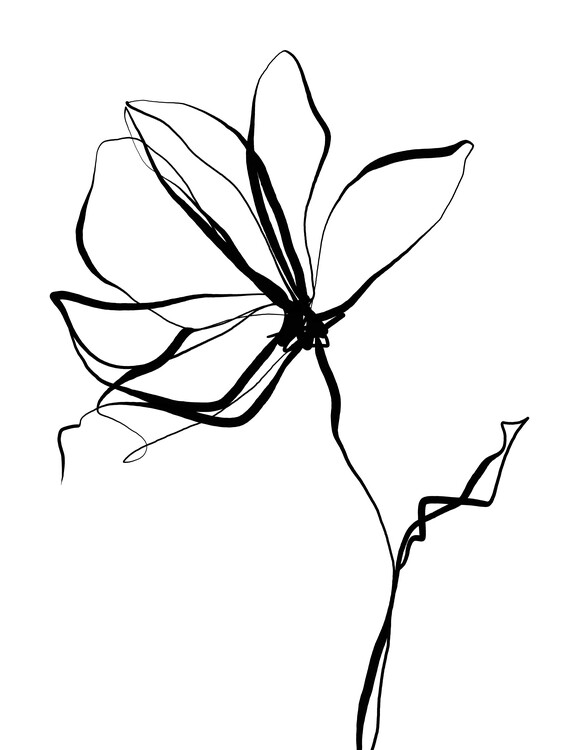 Poster Bloom_II