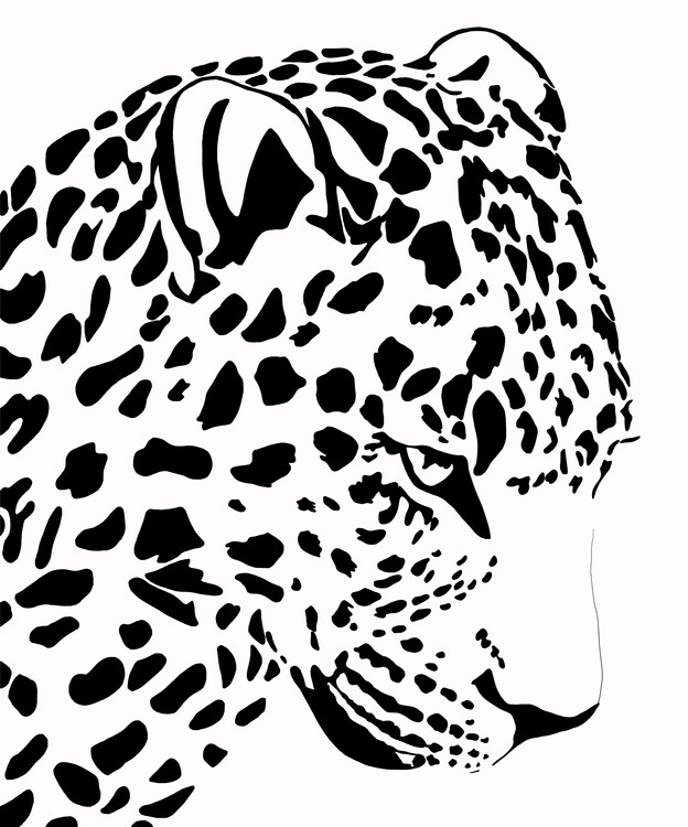 Poster Ghepard