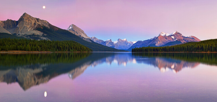 Poster Maligne Lake