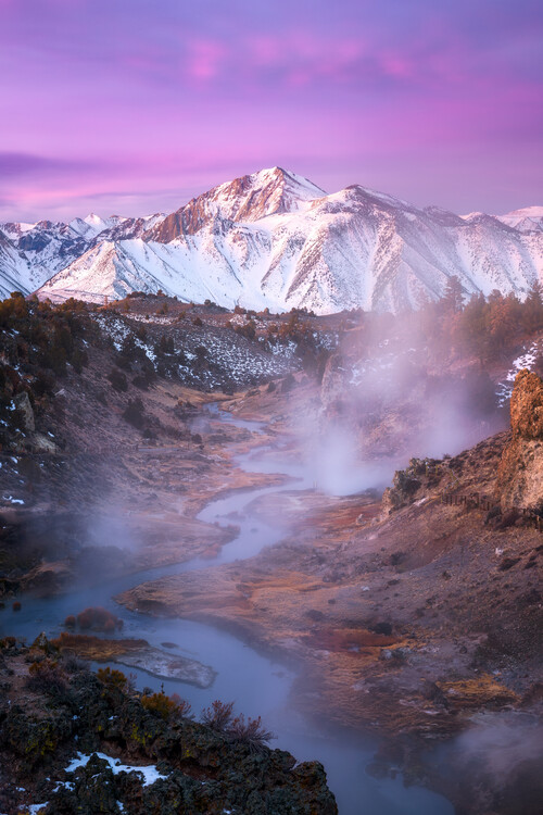 Plakát Pink Eastern Sierra