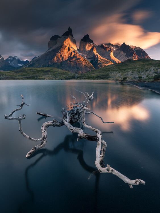 Poster Torres del Paine