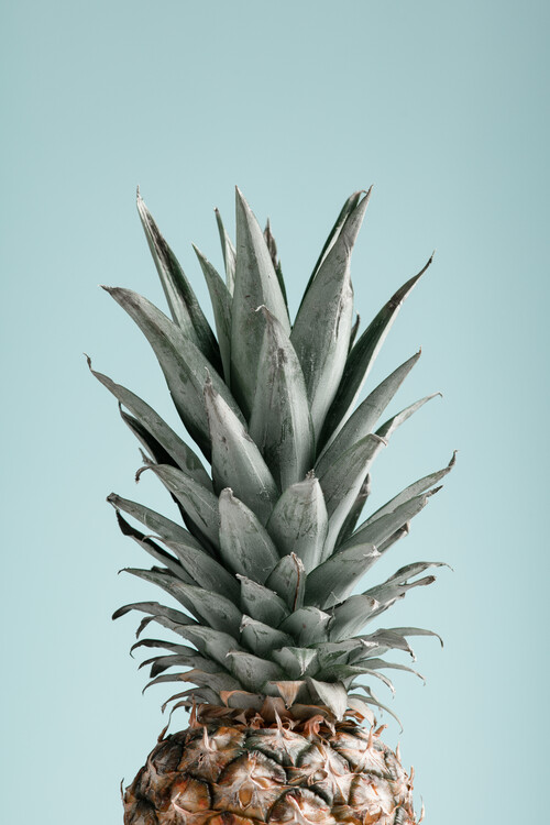 Póster Pineapple Blue 03