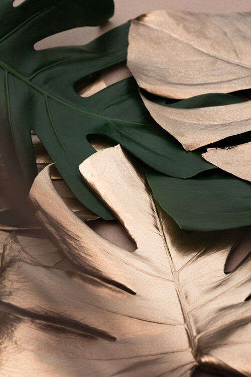 Poster Monstera Mix 01