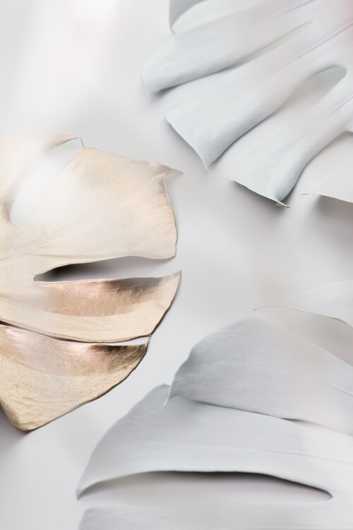 Poster Monstera Mix 02