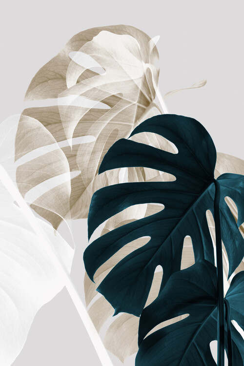Levně Plakát, Obraz - Monstera Creative 05, Studio Collection, 26.7 × 40 cm