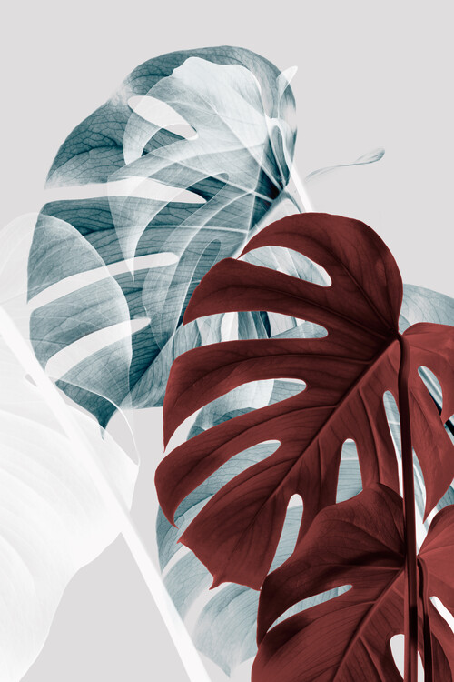 Levně Plakát, Obraz - Monstera Creative 18, Studio Collection, 26.7 × 40 cm