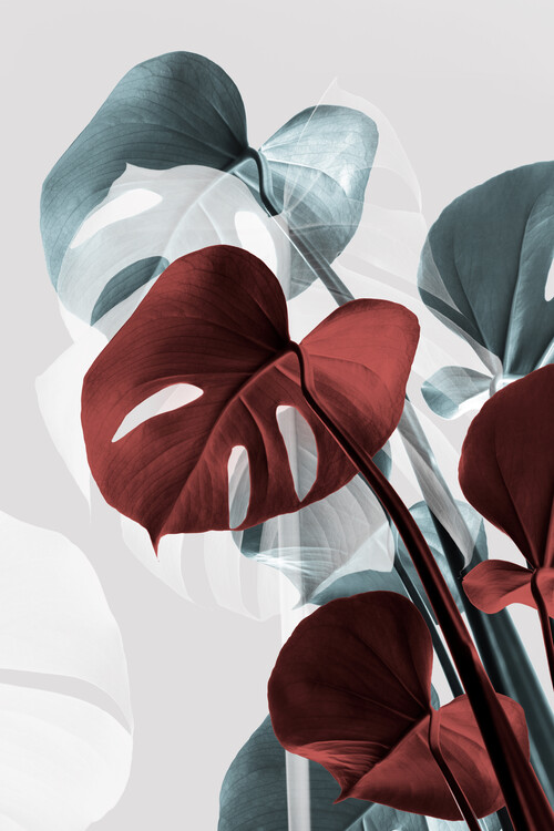 Levně Plakát, Obraz - Monstera Creative 15, Studio Collection, 26.7 × 40 cm