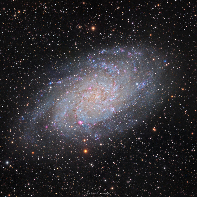 Poster Triangulum Galaxy