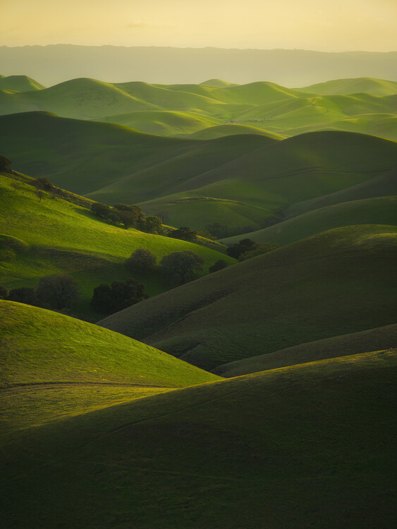 Poster Rolling Hills