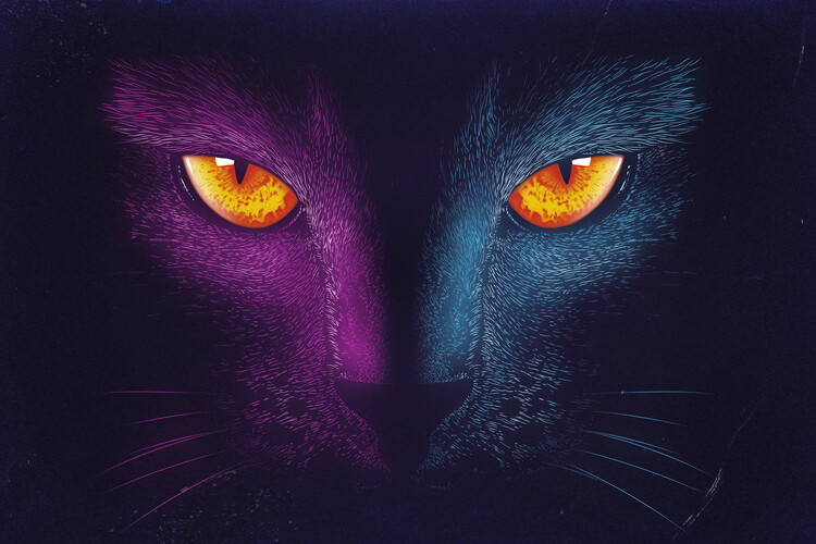 Plakat Neon Cat