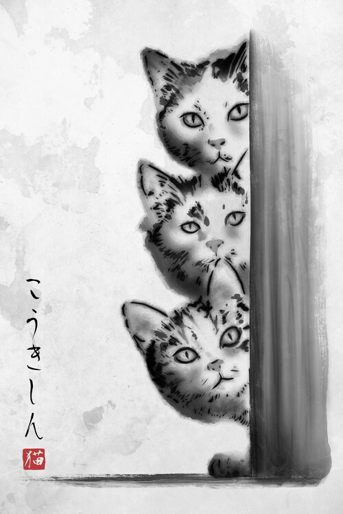 Poster The curious three