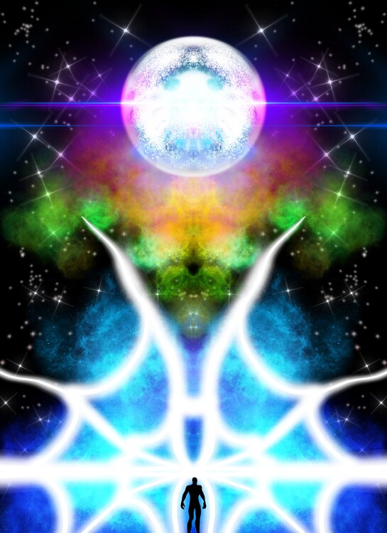 Poster Spider Illusion