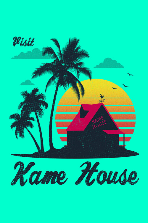 Плакат Visit Kame House