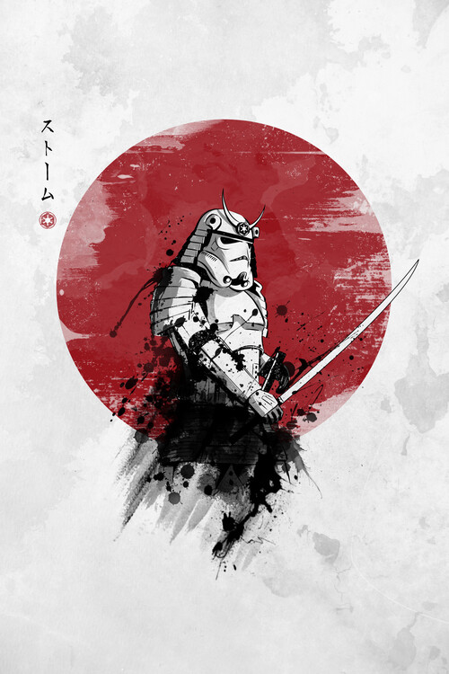 Poster Storm samurai