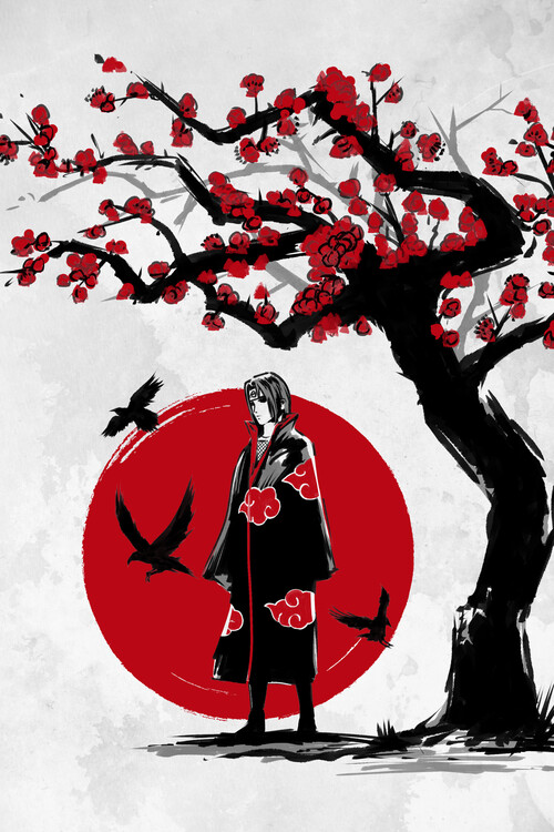 Poster Ninja under the sun