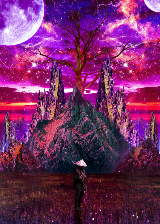 Plakát Ninja Space Art