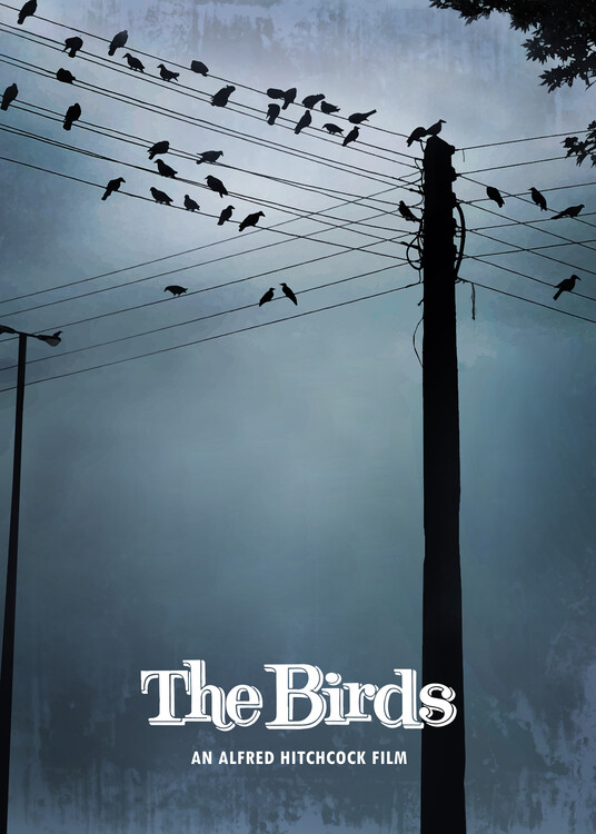 Plakát Birds