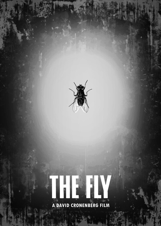 Poster Fly