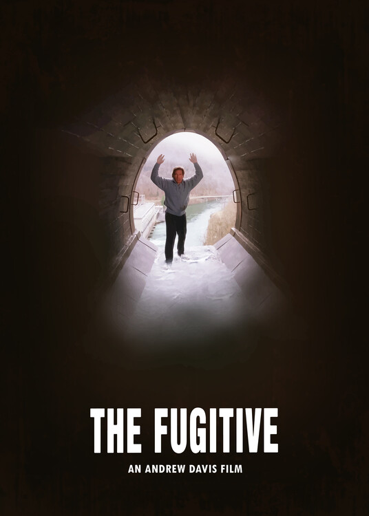 Плакат The Runaway