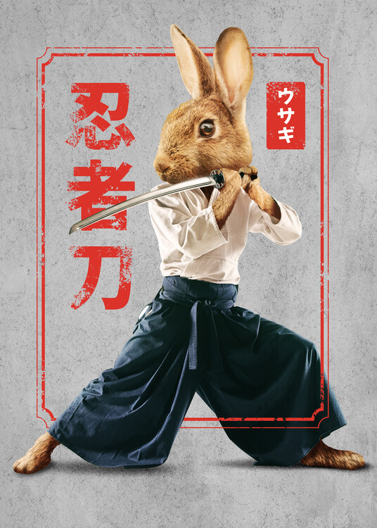 Плакат Samurai Rabbit