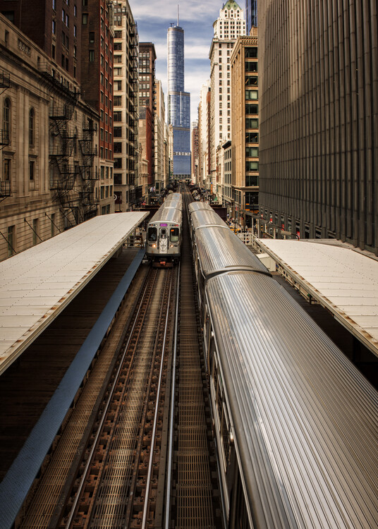 Canvas Print Center of Attention