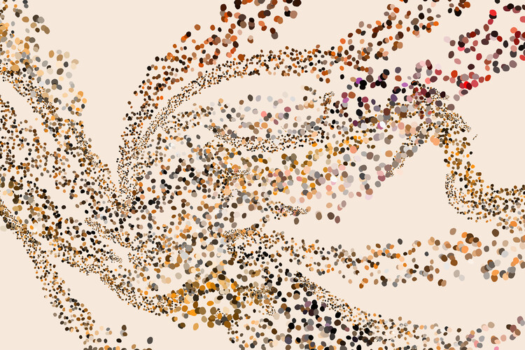 Poster Particles