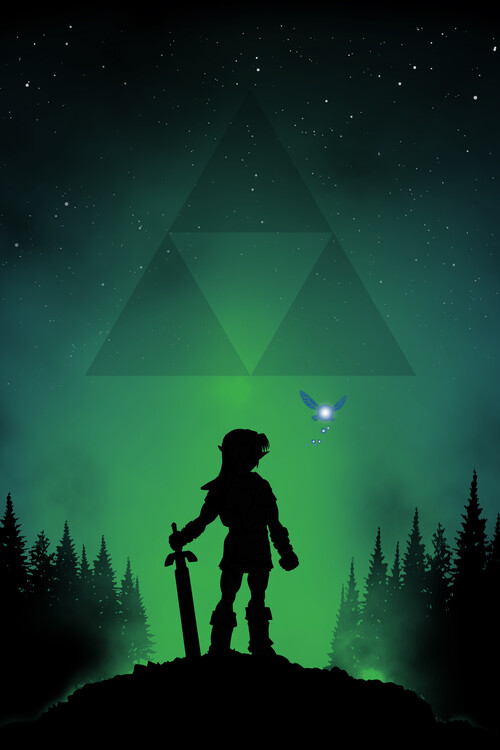 Canvas Print Hylian Warrior