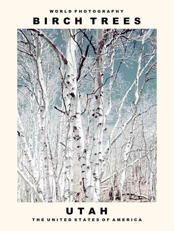 Принти на полотні Birch Trees (Utah, USA)