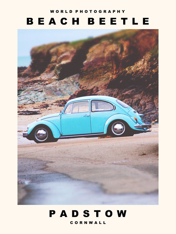 Wall Mural Beach Beetle (Padstow, Cornwall)