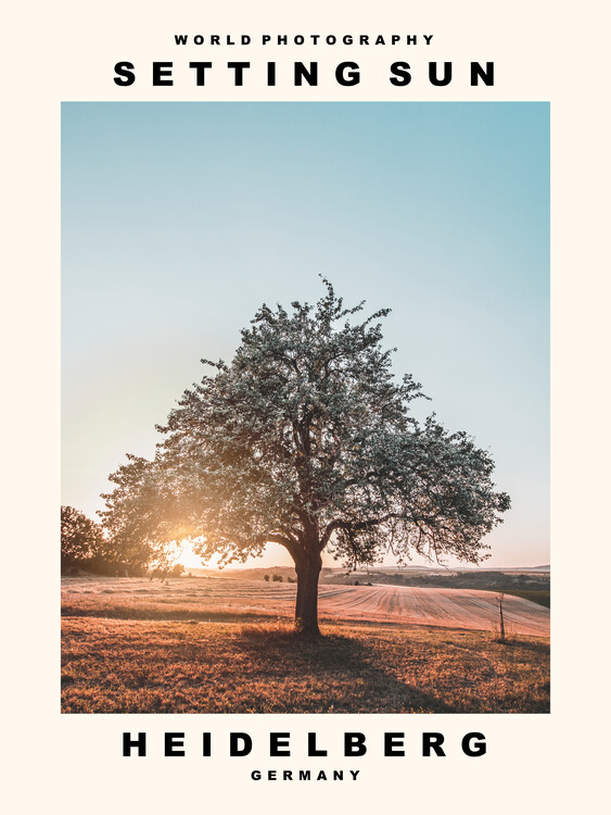 Canvas Print Setting Sun (Heidelberg, Germany)