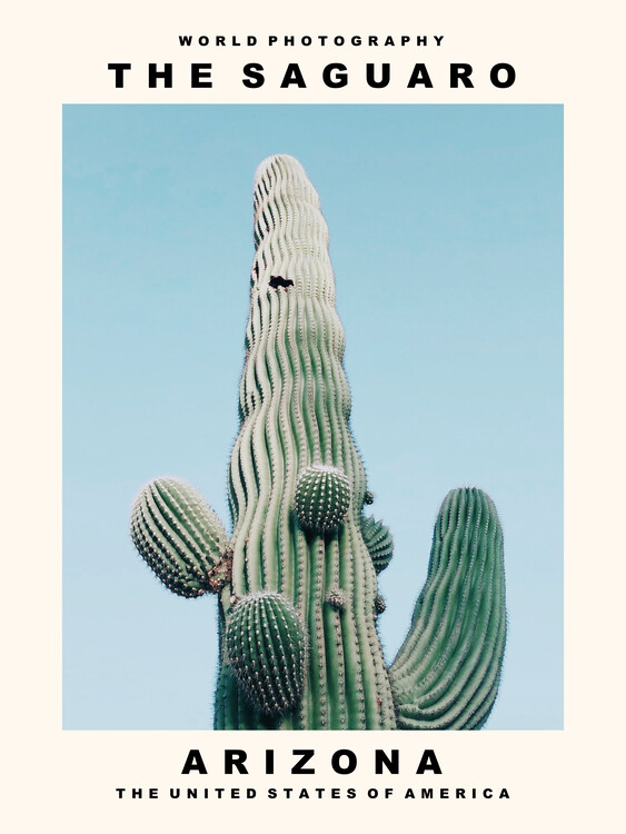 Poster The Saguaro (Arizona, USA)