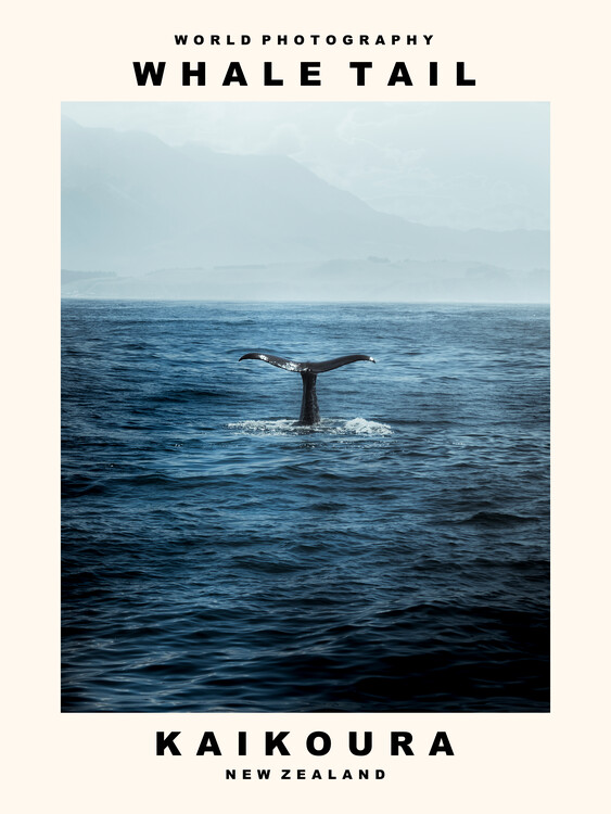 Canvas Print Whale Tail (Kaikoura, New Zealand)