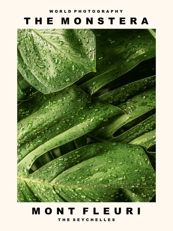 Poster The Monstera (Mont Fleuri, The Seychelles)