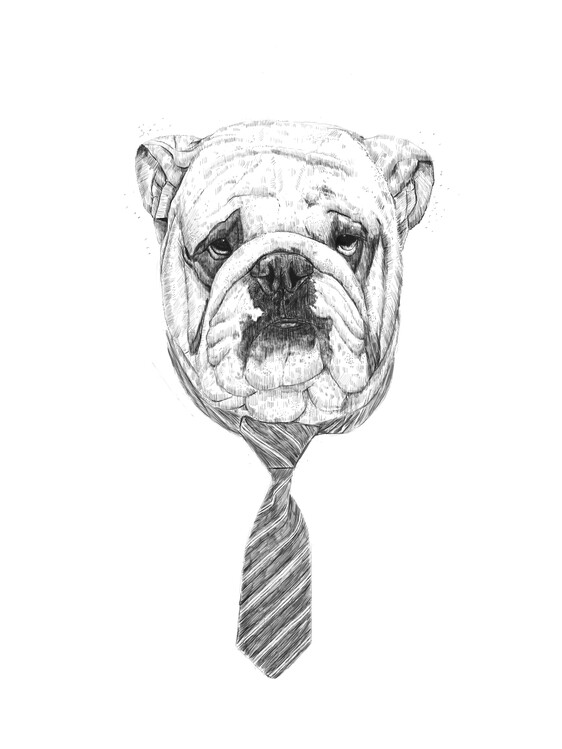 Poster Cooldog
