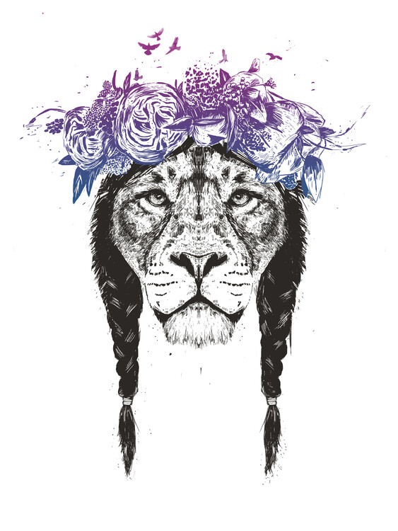 Poster King of lions