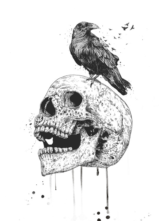 Poster New Skull