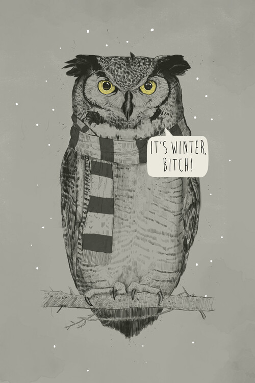 Poster It's winter, bitch!