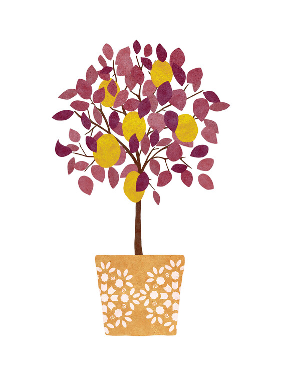 Canvas Print Lemon Tree