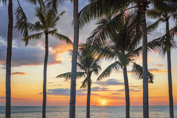 Poster Tropical Sunset