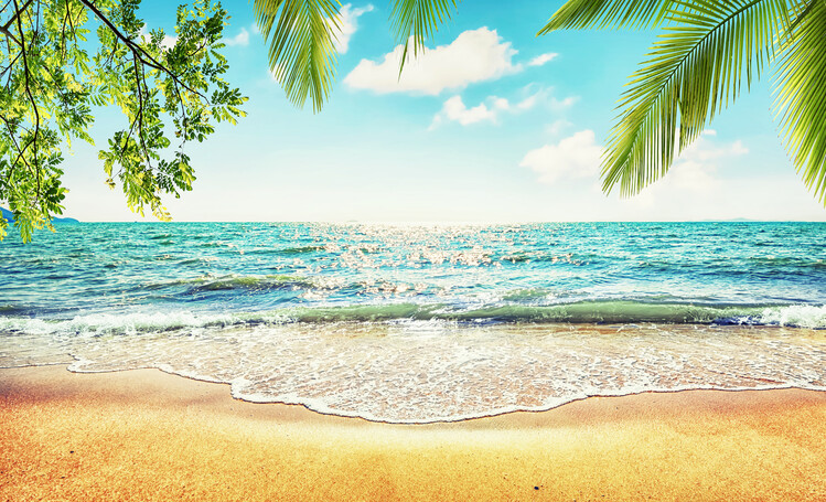 Плакат Summer Vibes
