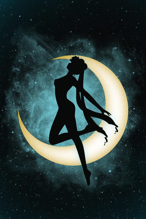 Poster Silhouette under the moon