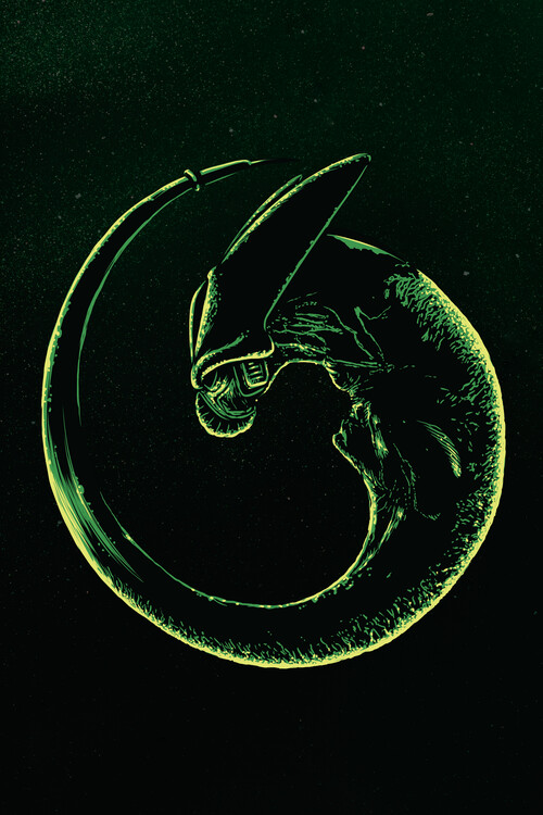 Plakát Imperfect Alien