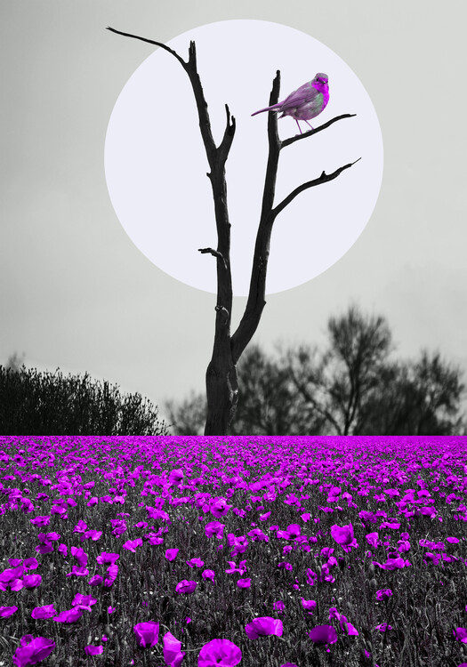 Плакат THE PURPLE LANDSCAPE
