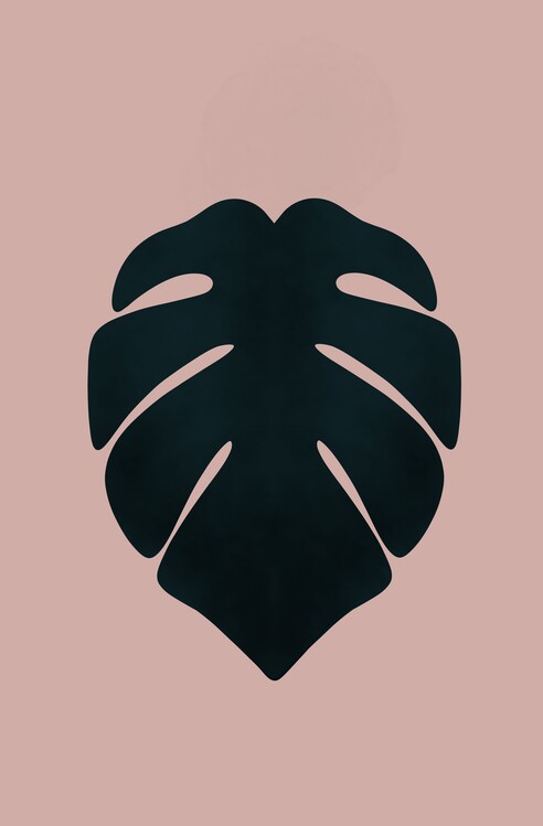 Poster Monstera