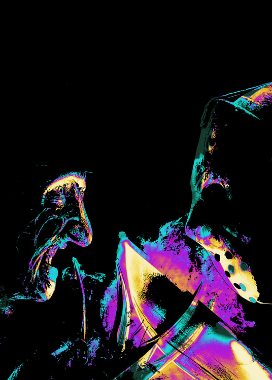 Poster Jason X Freddy